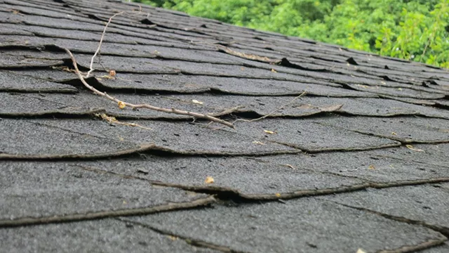 entire roof
